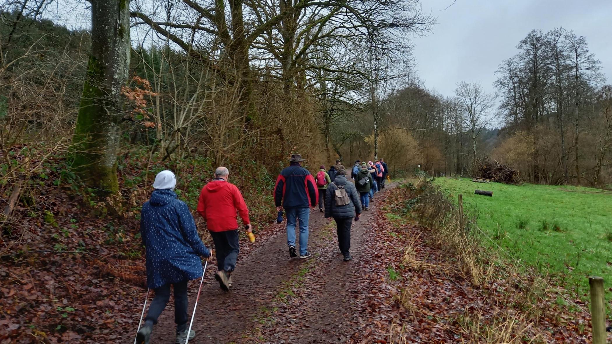 Eine Gruppen von Frauen und Männer pilgert durch einen Waldweg.