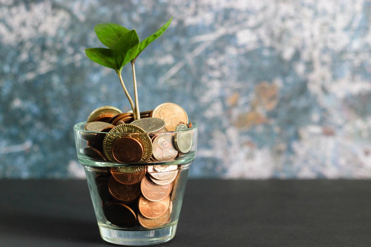 In einem Glas mit Geldmünzen wächst eine kleine Pflanze